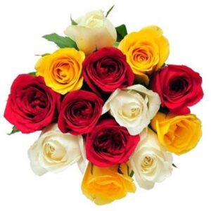 12_mix_roses