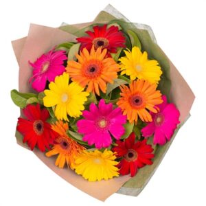 mix_gerbera