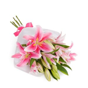 pink lilies