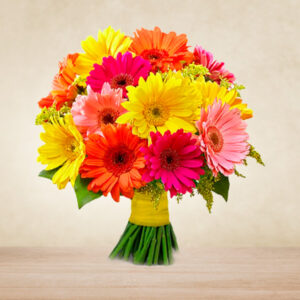 mix gerbera love
